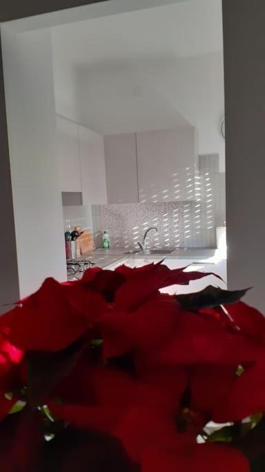 Lo Tsanty Casa Vacanza Aosta Kültér fotó